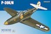 Bell P39K/N Airacobra Weekend