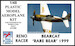 F8F Bearcat "Rare Bear 1999"