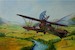 Phonix C1 Late (K.u.K. Luftfahrttruppe)