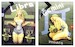 B24 Liberators (834th BG Zodiacs Libra & Gemini)