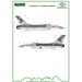 F16C Fighting Falcon (Portugese 20 years Anniversary)