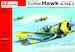 Curtiss Hawk 75A-3 Sussu over Finland