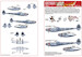 P38J Lightnings of the 392FS, 367FG