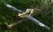 Hawker Hurricane Mk.1