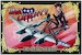 Flying Liberty P38 Lighting Aircraft pin up metal poster