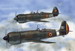 IAR 81DC Romanian Trainer