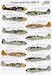 Focke Wulf FW190F-8 (Unknown Schemes & Markings)