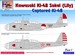 Kawasaki Ki48 'Lily' Captured Lilys, Pt.1