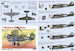 The Burma Banshee's, P40N-1 and P40N-5 of the 80th FG over Assam, India (5 schemes)