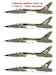 Republic F105F/G Thunderchief "Wild Weasels"