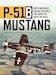 P-51B Mustang: North America's Bastard Stepchild that saved the Eight Air Force