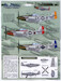 Green Nose Mustangs of East Wretham Part 5 (P51D)