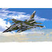 Mirage F1CT/CR (Ex Esci with new parts and updated weapons)