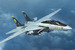 F14D Tomcat