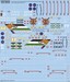 Panavia Tornado Gr4 (12sq Commorative Schemes)
