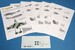 J33 Venom Decals