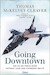 Going downtown, The US Air Force over Vietnam, Laos and Cambodia 1961-1975
