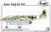 Focke Wulf FW PII