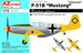 P51B Mustang 'Captured"