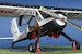 PZL-104 Wilga 35 (Polish Air Force) (RESTOCK!)