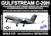 Gulfstream C-20H (2x Lo-vis USAF)