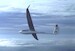ASW28 Glider