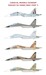 Sukhoi Su-30MK/MKK Flanker - Part 2
