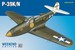 Bell P39K/N Airacobra Weekend