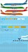 Douglas DC8-50/62 (Braniff International)