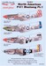 North American P51 Mustang part1