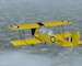 Tiger Moth (download version)  J3F000060-D image 1