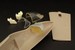 Jet Provost T5 p/e and resin detailset (FLY)