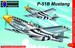 P51B Mustang