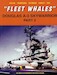 Douglas A3 Skywarrior Part 2 "Fleet Whales"