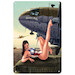 Bwina belle Curtsiss C46 pin up metal poster