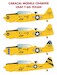 USAF T6G Texan