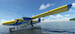 Aerosoft Aircraft Twin Otter  (download version)  AS15379 image 19