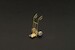 Hand truck (6x)