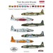 The Silver Stars, Lockheed T-33 Silver Star in the World