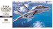 F14A Tomcat "Low Viz"
