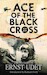 Ace of the Black Cross, the memoires of Ernst Udet