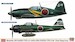 352nd Flying Group (A6M5c Zero, J2M3 Raiden) combo kit