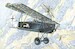 Fokker DVII (alb) early