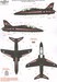 BAe Hawk T.1A 4TFS Diplay Aircraft