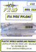 F16 PIDS Pylons