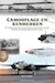 Geschiedenis van camouflage en kenmerken op vliegtuigen van de Militaire Luchtvaart / Koninklijk Nederlands-Indisch Leger