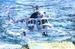 Mil Mi2RM Hoplite "Mexico Marina"