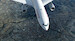 Aerosoft A330 professional (Download version)  AS13592 image 9