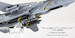 Grumman F14B Tomcat U.S.Navy, VF-103 Jolly Rogers, AA103, USS John F. Kennedy, Squadron 60th Anniversary 2003  CW001637 image 3