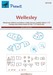Vickers Wellesley canopy masking (Valom)